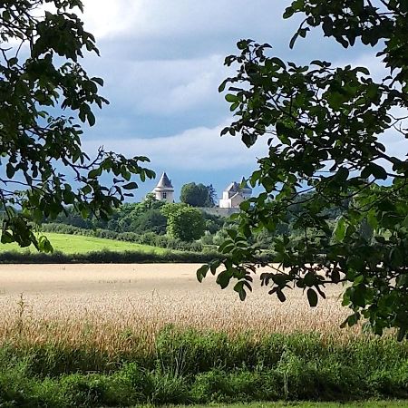 L'Eden Proche Du Zoo De Beauval De Saint Aignan Bed & Breakfast Lucay-le-Male Exterior photo