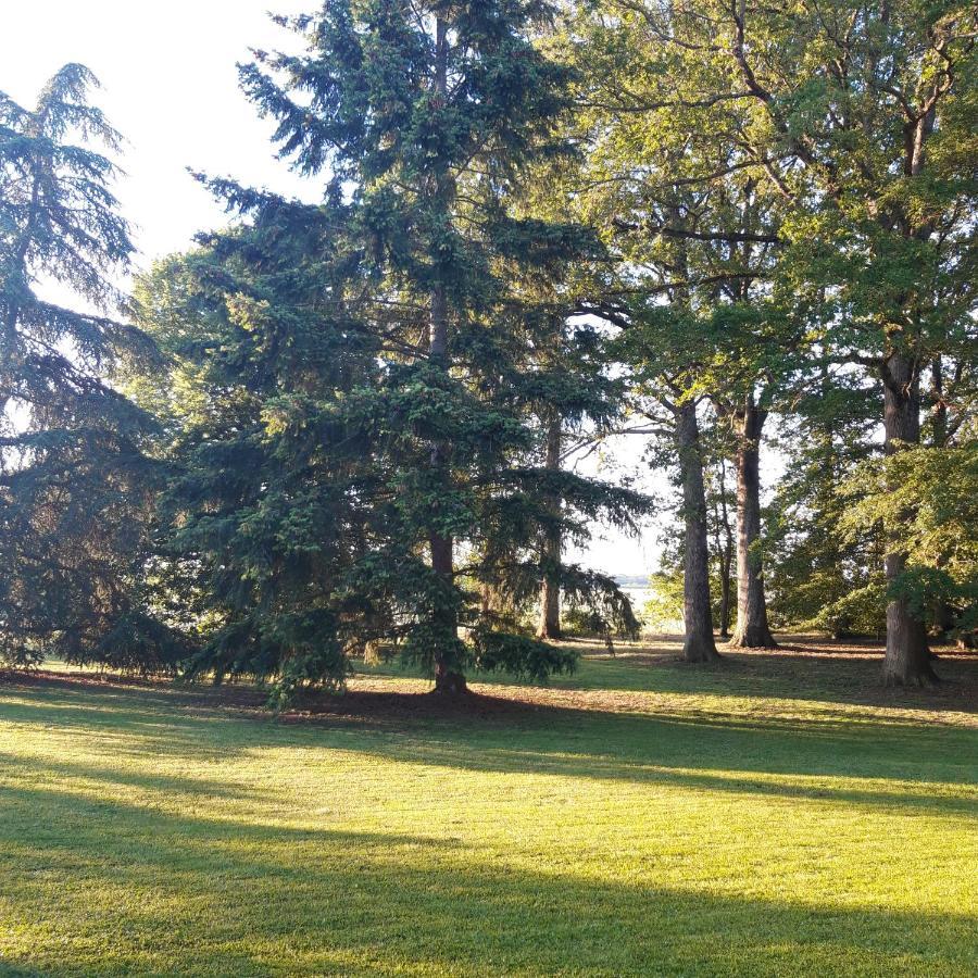 L'Eden Proche Du Zoo De Beauval De Saint Aignan Bed & Breakfast Lucay-le-Male Exterior photo